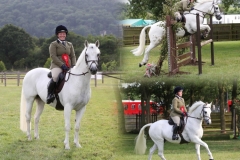 Stephanie-Waite-Horse_Pony-Kildromin-Van-Persi