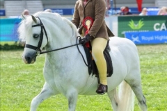 Archie-Nicoll-and-Pinnerburn-Wallaroo