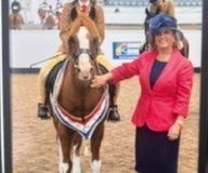 Brogan-Douglas-Jones-and-Carrwood-Valentine