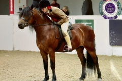 Grace-clarke-and-Kingshaugh-hailstorm-