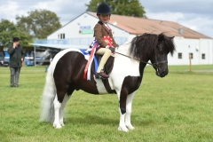 Alexia-Lilley-and-Briar-Puzzle