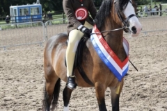 Anabella-adam-and-Heniarth-Teacake