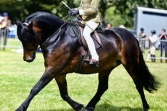 Honey-Crawford-and-Cayberry-First-Edition