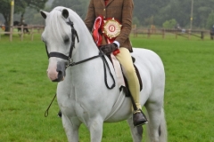 Issie-Lea-and-Crumpwell-Harry-Potter-