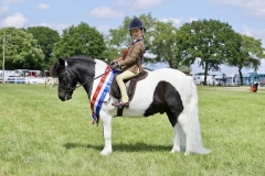 Alexia-Lilley-and-Briar-Puzzle