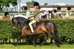 Honey-Crawford-and-Cayberry-First-Edition