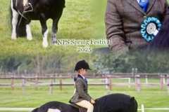 Morgan-Matthews-Horse_Pony-Clibberswick-Special-Delivery