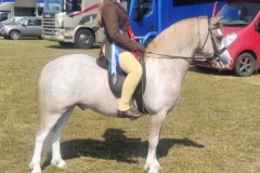 Ava-shaw-Horse_Pony-Settvalley-the-watchman-