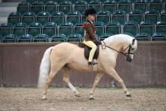 Florence-Milczarek-Horse_Pony-Cosford-Wishes-Vow