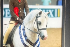 Penny-Richardson-Horse_Pony-Glebedale-Silhouette