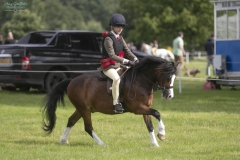 Jessie-Barleycorn-and-Haverford-Fauntleroy