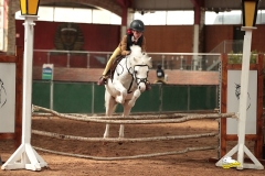 Darcey-Forster-Brannen-Horse_Pony-Ally-Mahyong