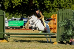 Flora-Greenwell-Horse_Pony-Maygray-Malfoy