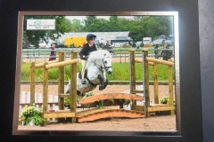 Penny-Richardson-Horse_Pony-Briar-Snowfox