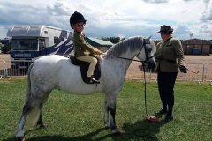 Aston Potter-firth Horse:Pony Heniarth yes sir