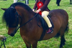 Scarlett Whitehurst and Pumphill Mr Theodore