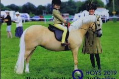 Rose-Cassapi-Paskins-and-Westfirle-Golden-Oriole-copy