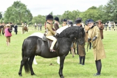 Anya-Dewey-Clarke-and-Kerridene-Night-Fury