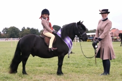 Maya-Bakshi-and-Stepley-Taurus