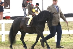 Jemimah-Harper-Chambers-and-Rothvale-First-Edition