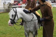 Araminta-Williams-and-Thistledown-Drudwen