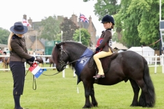 Reeva-Gardner-Horse_Pony-Latijn-V.D-Helling