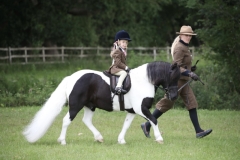 Sophia-Lilley-Horse_Pony-Briar-Puzzle