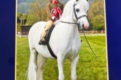 Thea-Wadley-Horse_Pony-Glebedale-Sancerre