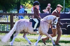 Zara-Constable-Horse_Pony-Glyncoch-Honey-Pot-