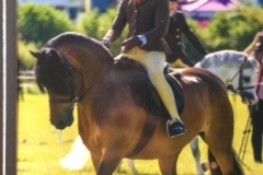 Daisy-may-allen-and-Cayberry-hotshot