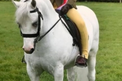 Demi-Appleton-and-Broekland-Allesandro-copy