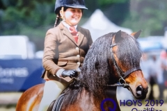 Maisie-chester-and-Pumphill-fandango