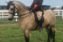 Megan White and Thunderbolt Fairy Robin Bambi_-2