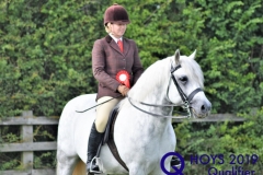 Vicki-Casey-and-Frederiksminde-Volcano