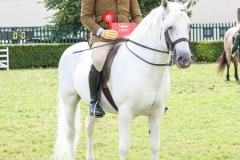 James-Whiteford-and-Fuinseoig-Boy