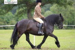 Kate-Wilson-and-Carrock-Clover-Moon