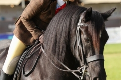 Eilidh-McIvor-Horse_Pony-Highcroft-Rebel