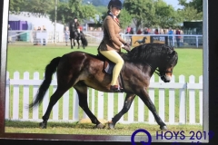 Davinia-johnson-and-Stowbrook-red-kite