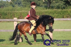 Vicki-Casey-and-Kyleburn-Mikado-2