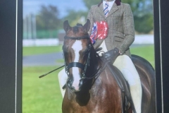 Bluebell-Beechey-and-Annandale-Line-of-Fire