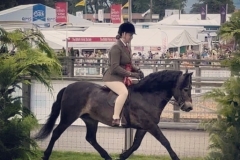 Davinia-johnson-and-Stowbrook-red-Kite