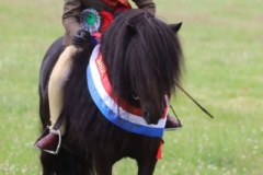 Ella-Wells-and-Bergli-Dreamwatcher