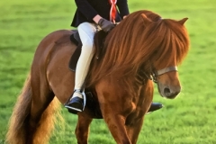 Isabel-Turner-and-Firle-Georgio