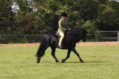 Jennifer-Cowan-and-Rekcilf-mr-montagu