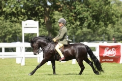 1_Pamela-Brown-and-Westown-Main-Man