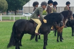 Pamela-Brown-and-Westown-Main-Man