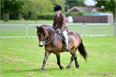 Toby-Johnstone-and-Cheritonridge-grenache