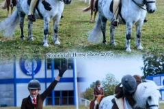 Lilly-Richardson-Horse_Pony-Briar-Snowfox