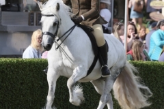 Georgia-boswell-and-Holling-foxglove