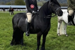 Olivia-Swailes-and-Dalefoot-Amber-II